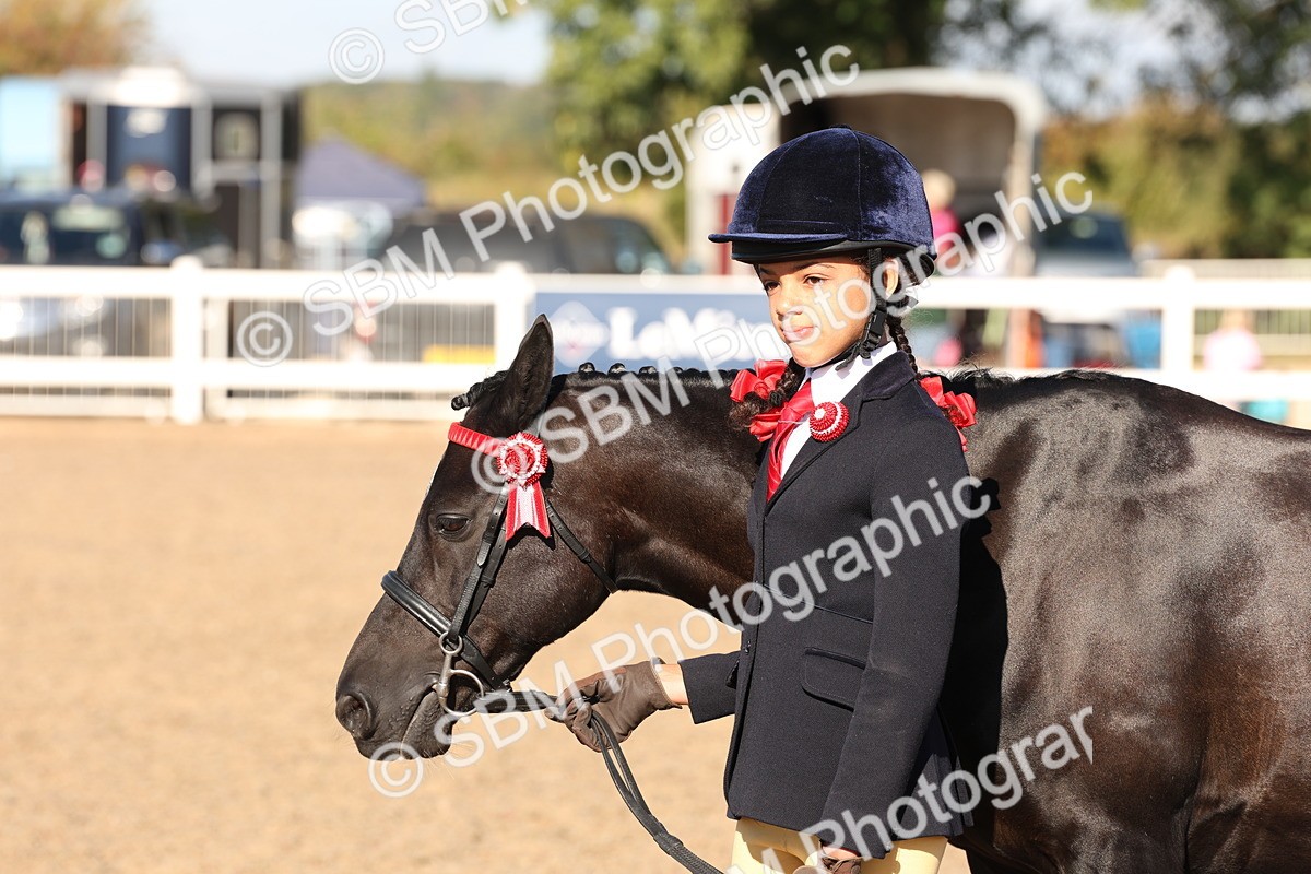SBM_11686 - Class 203 - Young Handler 11 to 16 years