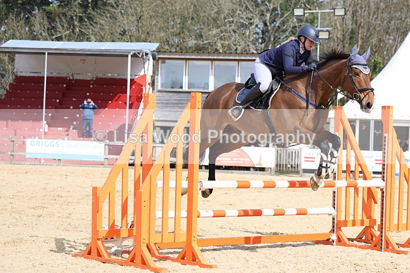 3E7A6711 - Class 4: Senior British Novice/90cm open