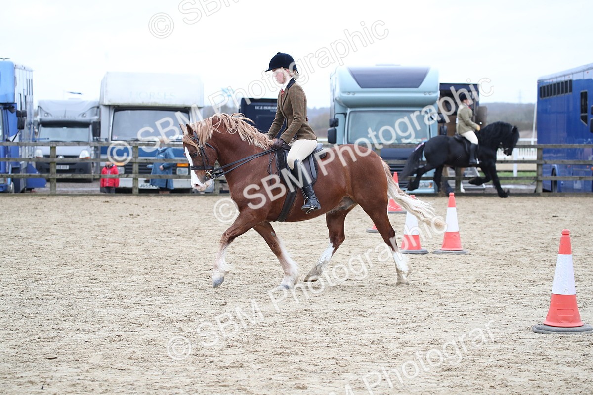 SBM_006367 - Class 10-13 - RIHS Small Large Breeds