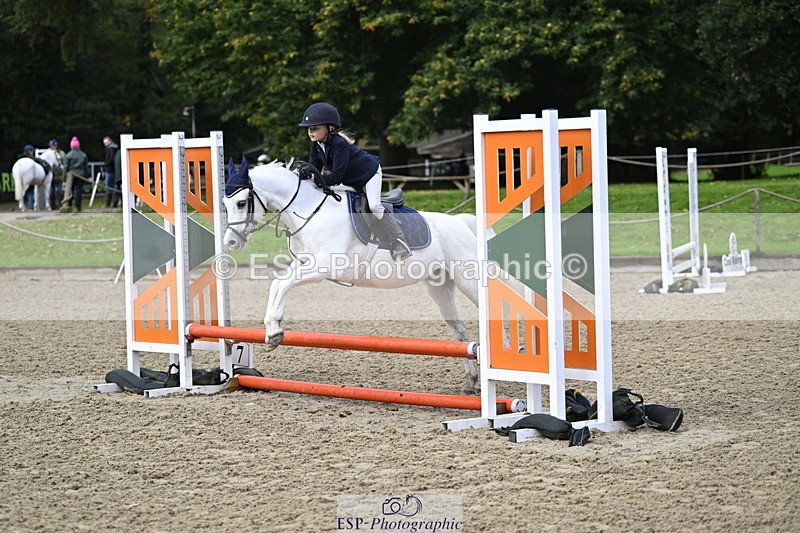 251005A-091214-02988 - Cls 02 GR 50cm