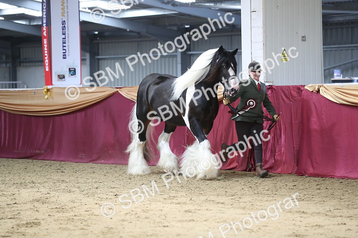 SBM_06485 - Class 9R Regional- IH Pre Vet