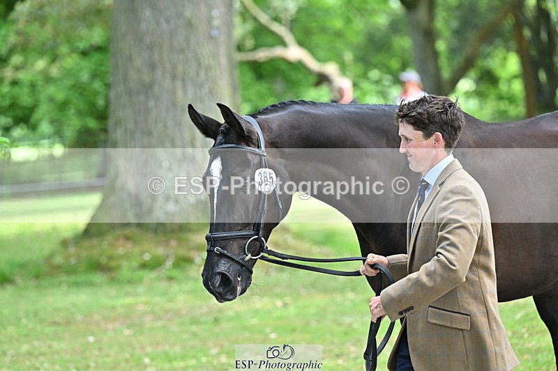 250521A-153049-00558 - B-365-Tom.McEwen-MAESTRO