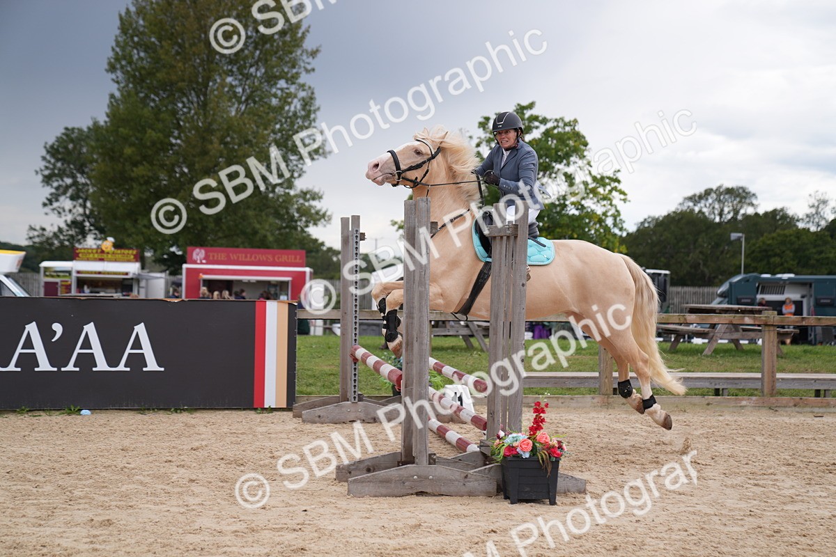 SBM_09261 - J36 Veteran 70cm Championship