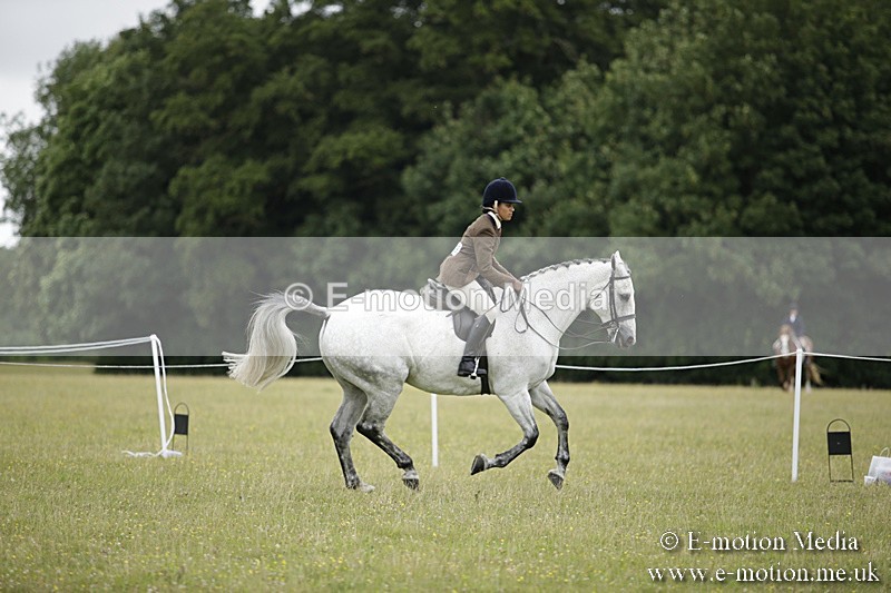 BVR160717-1024 - Ring 1 BVRC Show 16/07/17