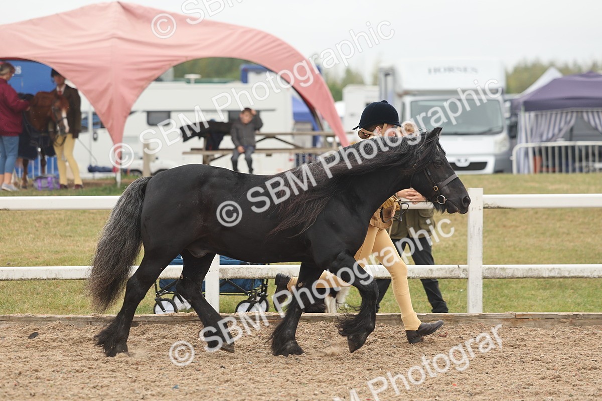 SBM_00483 - Class 13 Young Handler