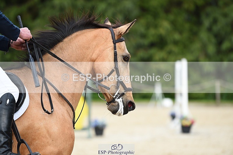 230512-165204-02892 - Cls 03 Snr Fox