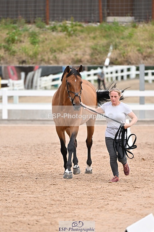 250716-135704-00805 - Trot Up 1.30 to 2.30