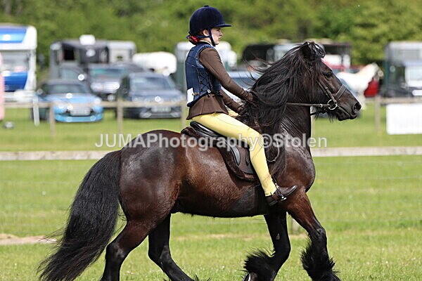 IMG_3256 - Working Hunter