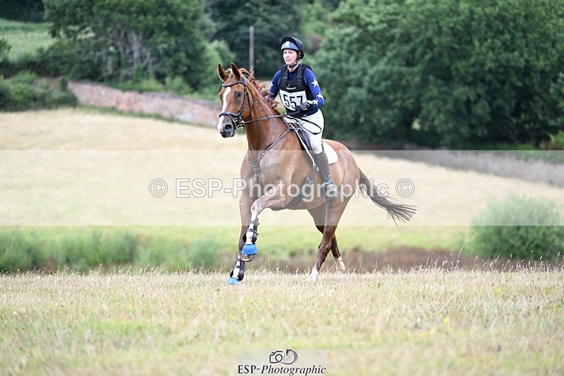 250803A-124346-13289 - M-557-Heidi.Allen-COMIC.WANDA