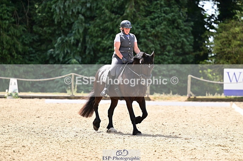 260802A-115607-06022 - Novice Silver break- end