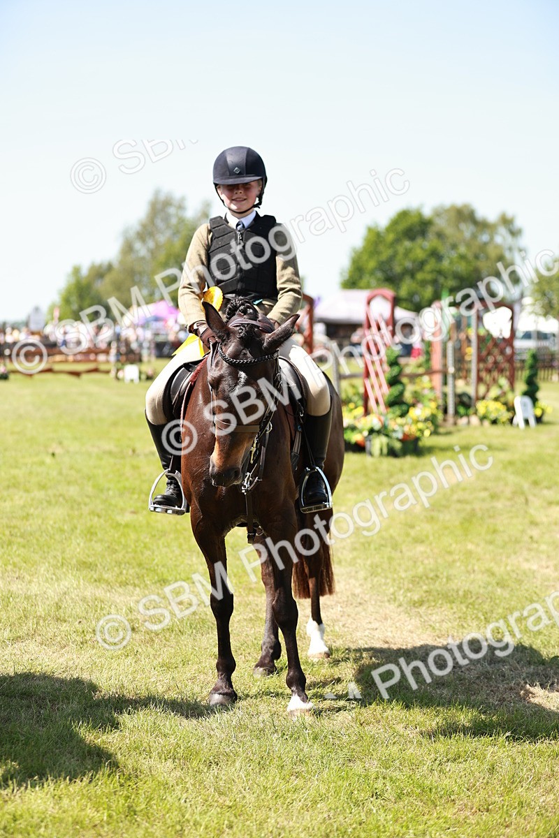 SBM_17673 - Class 112-113 - BSPS LIHS Working Sports Pony