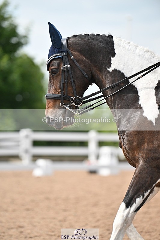 240621A-145802-04058 - Cls 11 BD Medium 73