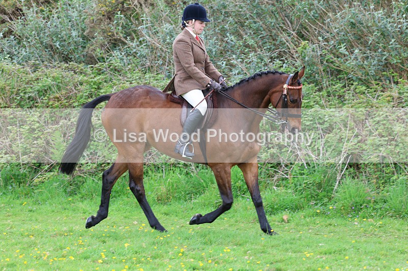 3E7A1934 - Class 10: Ridden Sports Horse