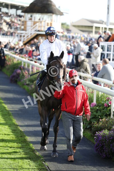 yr07102022r4-14 - Race 4 3.50pm William Hill Best Odds Guaranteed Stakes