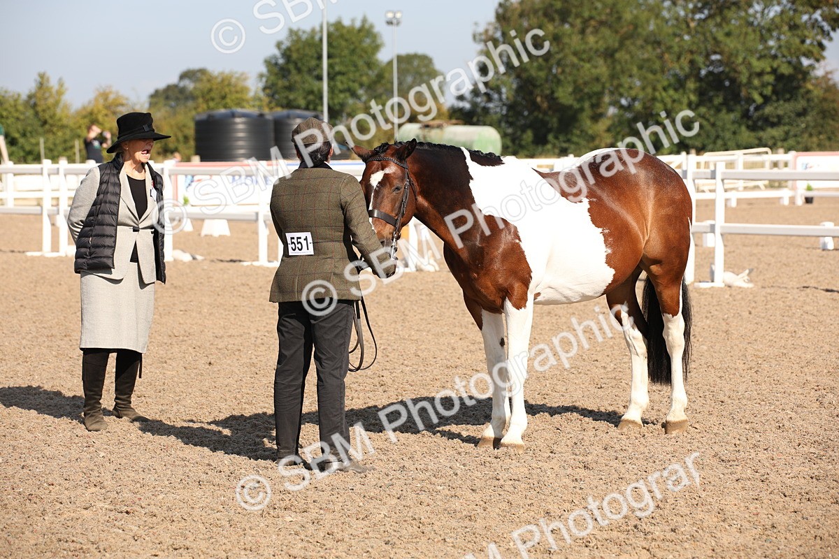 SBM_01518 - Class 15 IH Coloured