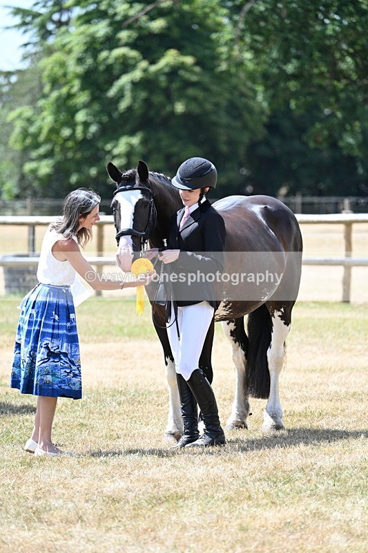 WJ7_2044 - Class 4a Prettiest Mare 14.2hh and over hand