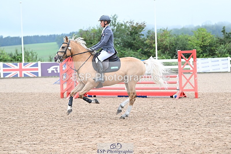 240908A-105132-03155 - Cls 18 A&B Pony Brit Nov & 80 Opern