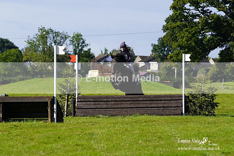  WWHT 031021 1295 - Open Novice (0.80m) 03/10/21