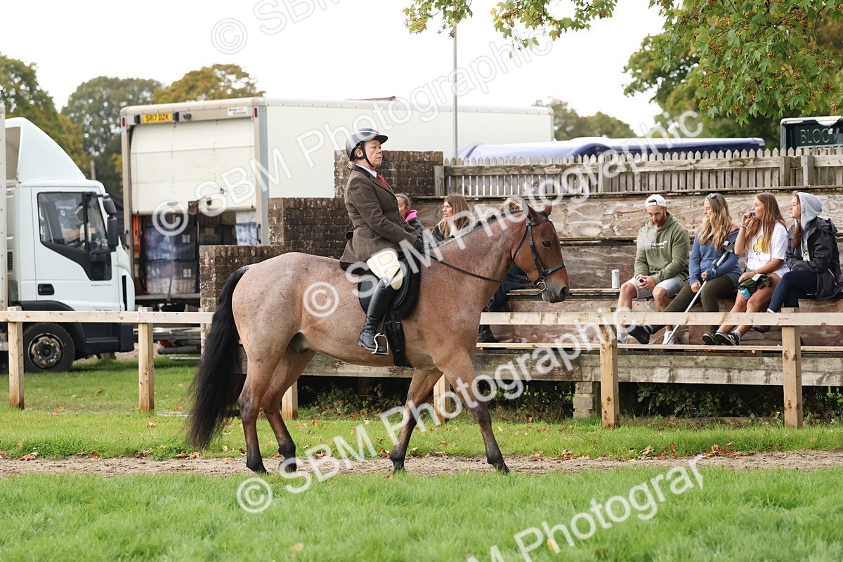 SBM_44926 - S27 - Young Veteran Ridden