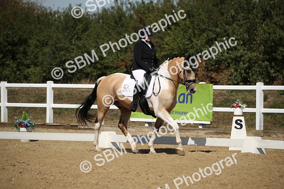 SBM_005081 - Class 11 - Novice 5 - 11.41-12.58