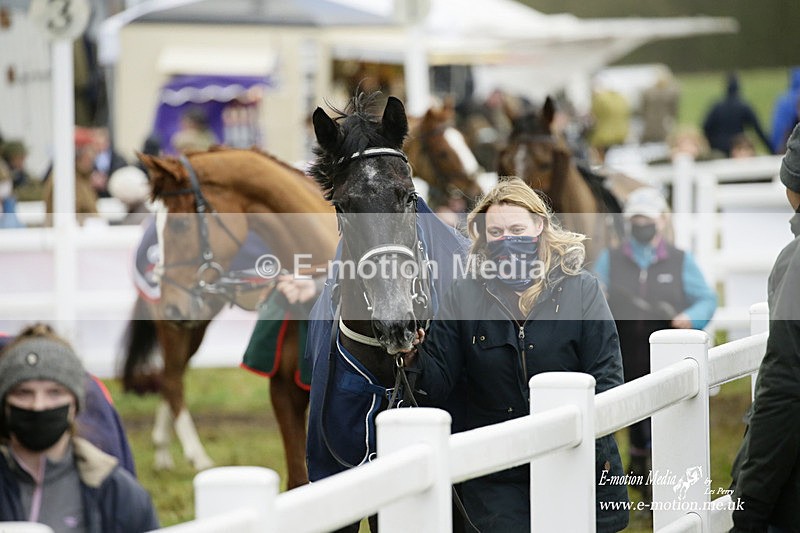 PtP 020122 515 - Larkhill Racing Club Point-to-Point 02/01/2022