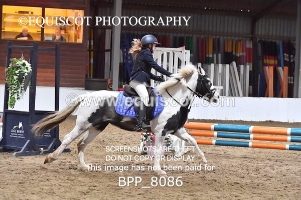 BPP_8086 - CLASS 1  Club/ Unaffiliated 60cms Open