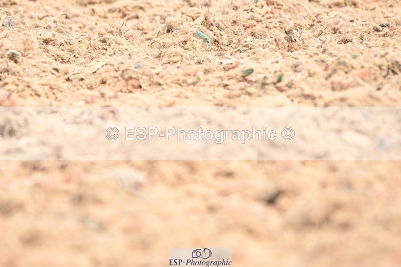 250620-120327-02896 - BD Cls 4 - Novice 5, 11.30am to 12.35pm