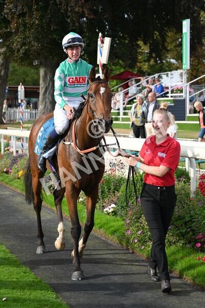 yr04092022r6-48 - Race 6 4.40pm Hanson Springs Stakes