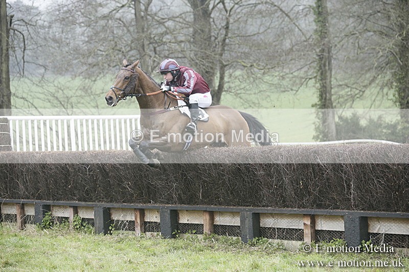 PtP 020418 -310 - Old Berks Point-to-Point Races Easter Monday 02/04/18