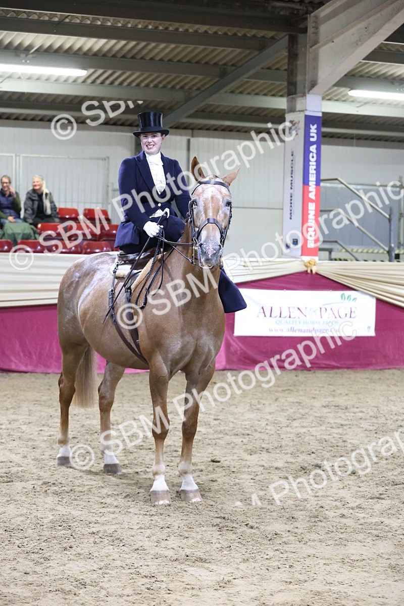 SBM_20977 - Class N - Side Saddle Champ