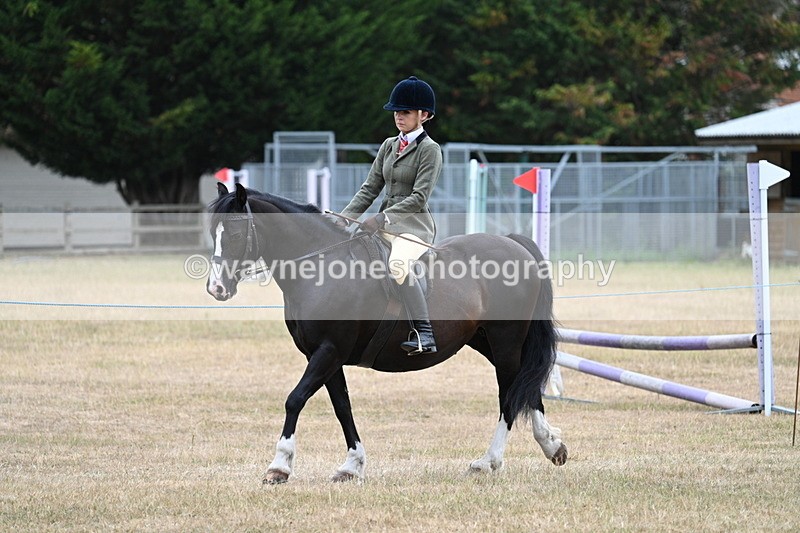 WJ7_0264 - Class 6 Ridden Mountain and Moorland