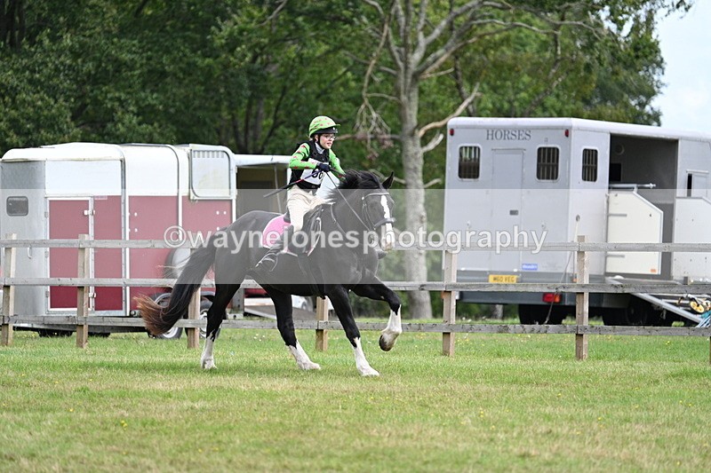 WJ7_8933 - 60cm Time 12:31 to 12:50