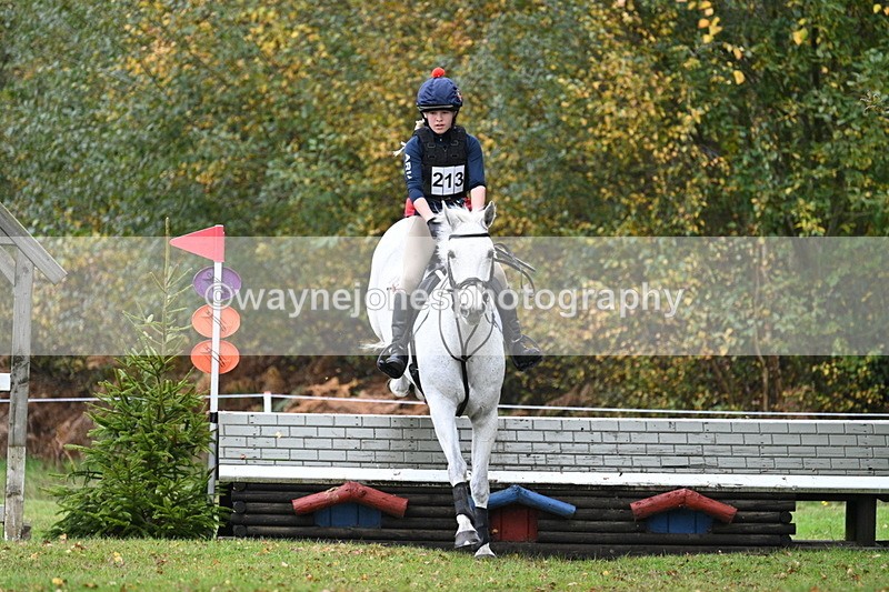 WJ7_2893 - 90cm Cam 2 Water Time 13:29 to 13:47