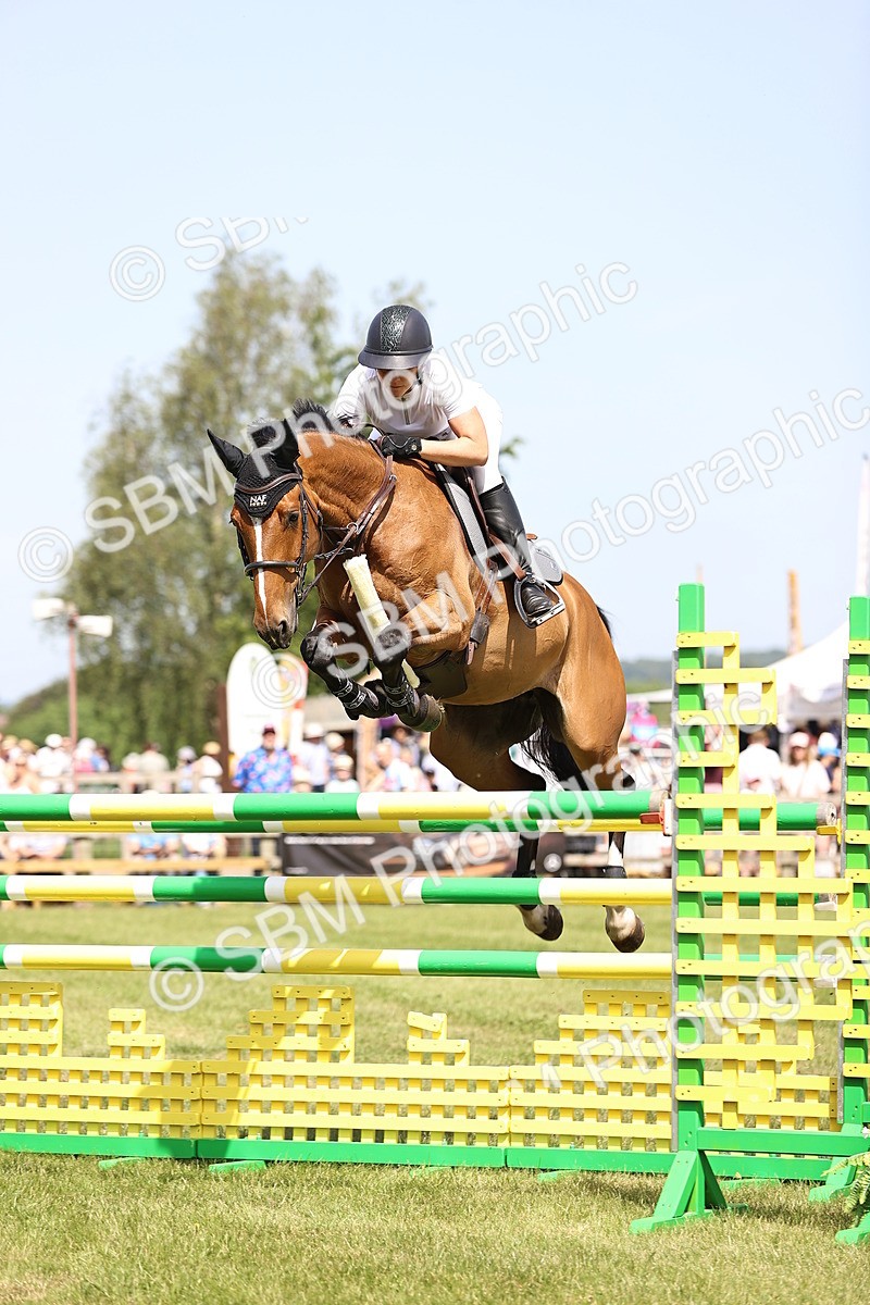 SBM_03952 - Class 201 - British Horse Feedds Speedi Beet HOYS Grade C
