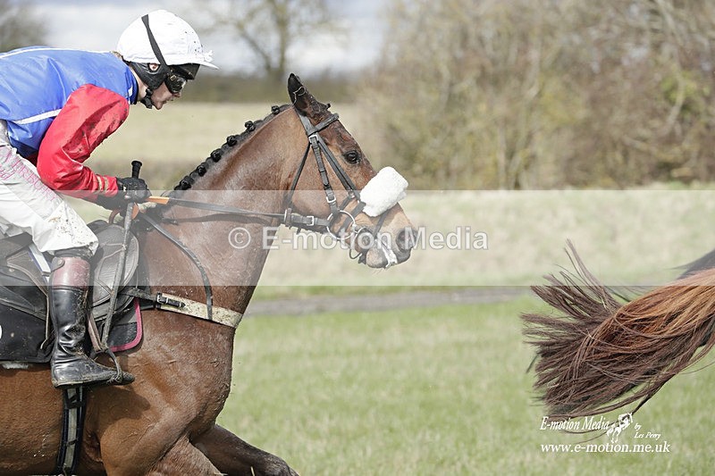 PtP 180323 488 - Shelfield Park Races with Croome & West Warwickshire Hunt  18/03/23