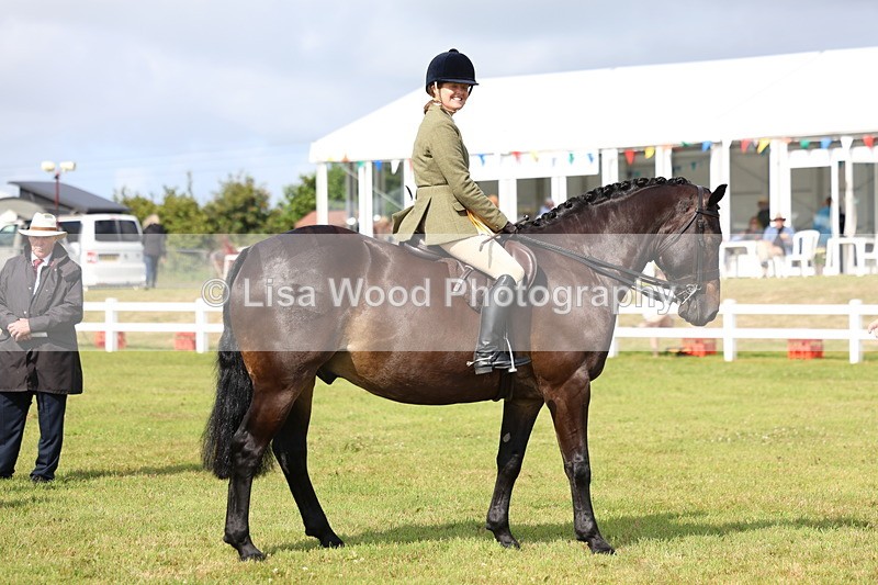 3E7A9191 - Class 3: Rising Star S/L Hunter