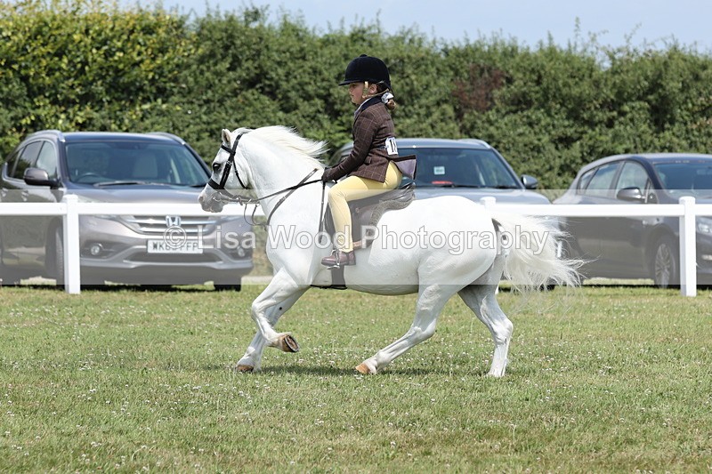 JPP_1867 - Class 18: Tiny Tots Working Hunter Pony