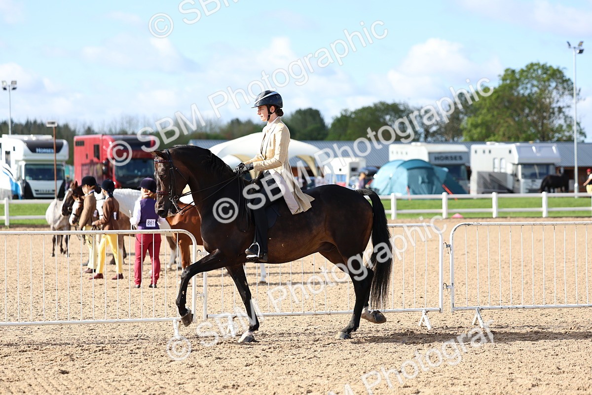 SBM_09130 - Class 303 - Ridden Pure Bred Horse Pony