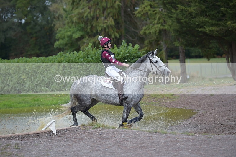 NGP_2431 - XC Time 11:37 to 11:57