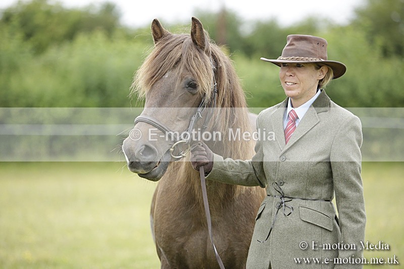 BVR160717-733 - Ring 2 BVRC Show 16/07/17