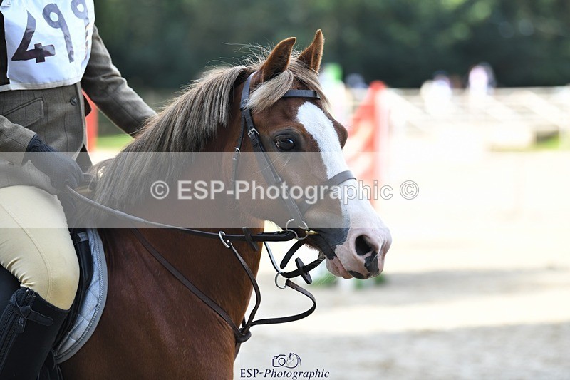 230824-093016-00585 - Round 2 Start to 10.30 coursewalk