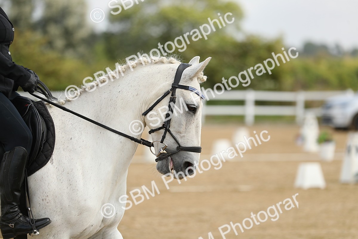 SBM_016319 - Class 13 - Novice 23 - 11.25-12.35