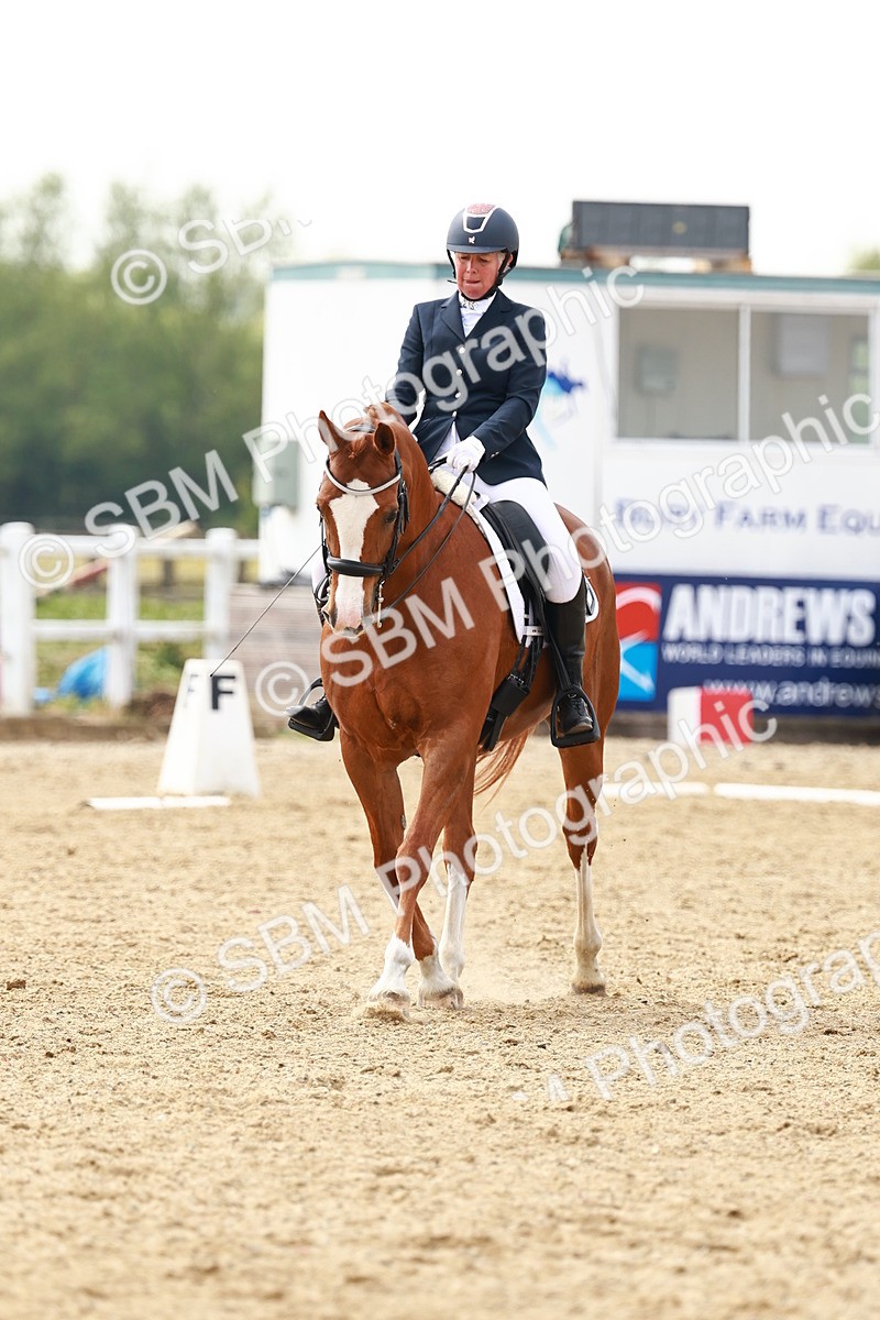 SBM_002843 - Class 12 - Medium 4