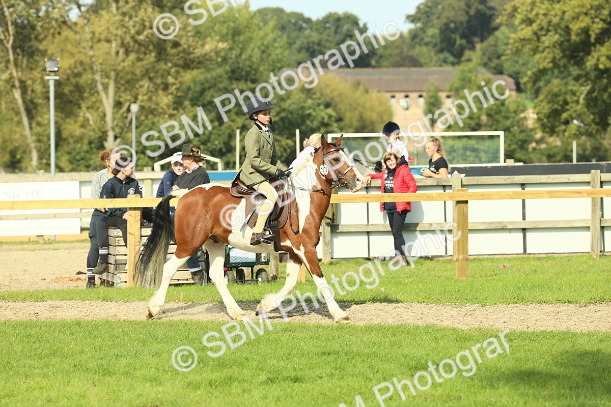 SBM_68925 - S58 - Mini Show Cob Ridden
