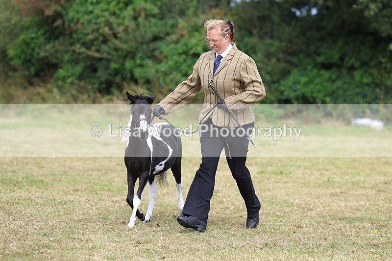 3E7A5419 - Class 19: Best Coloured in Hand