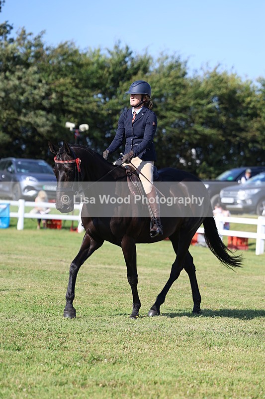 3E7A5604 - Class 2: Rising Star Large Hack/Riding Horse
