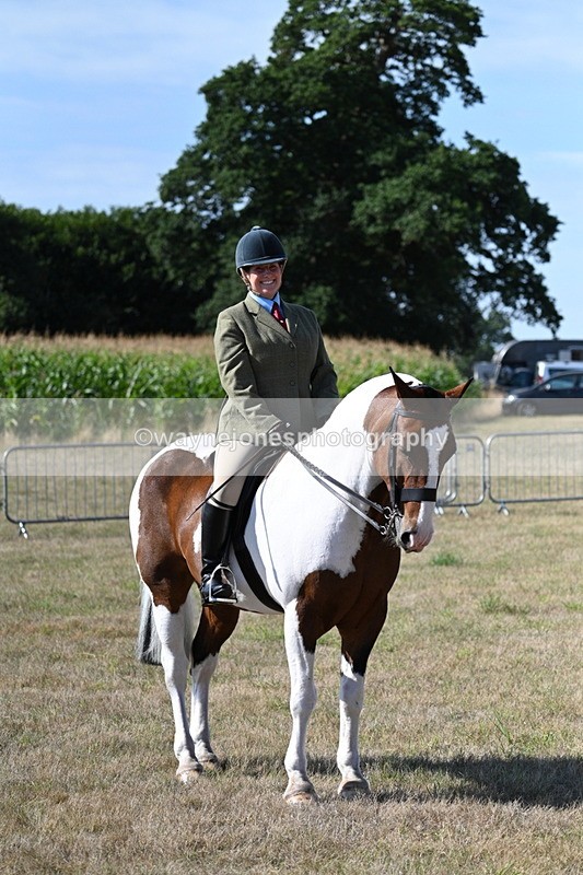 WJ7_3152 - Class 8 Ridden Tack & Turnout