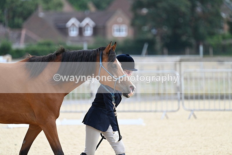 WJ7_1833 - In Hand