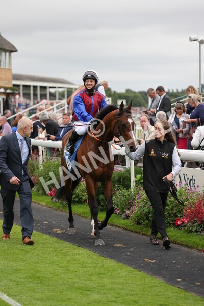 yr18082021r7-9 - Race 7 5.20pm Sky Bet Nursery Handicap