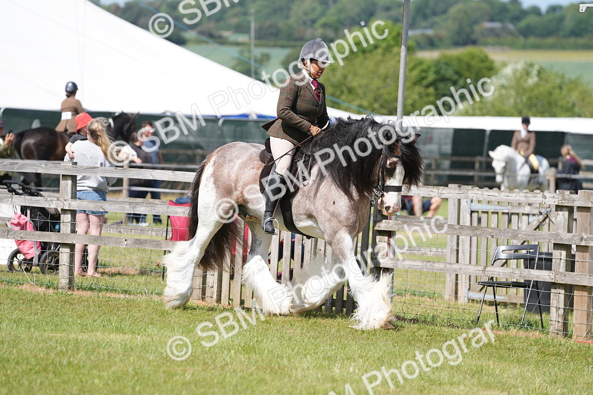 SBM_17104 - Class 107-108 - LIHS BSPS Performance Coloured Horse Pony